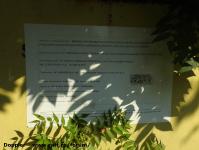 Imagine atasata: Mulberry Development Take Ionescu - 2016.08.21 - 07.jpg